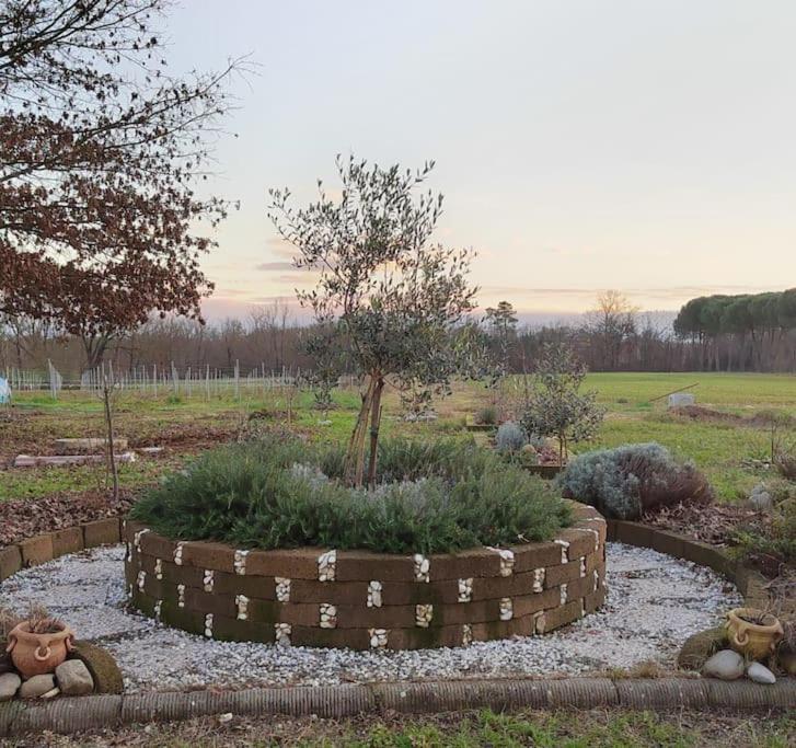 Villa Donnola: Casa Rosmarino Fucecchio Eksteriør billede
