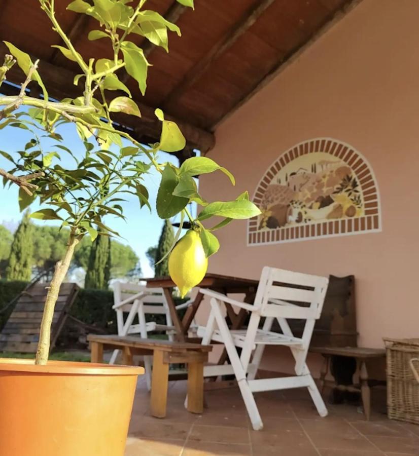 Villa Donnola: Casa Rosmarino Fucecchio Eksteriør billede