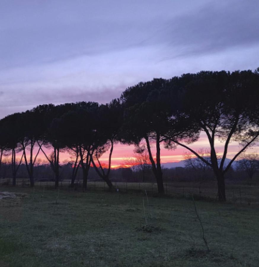 Villa Donnola: Casa Rosmarino Fucecchio Eksteriør billede