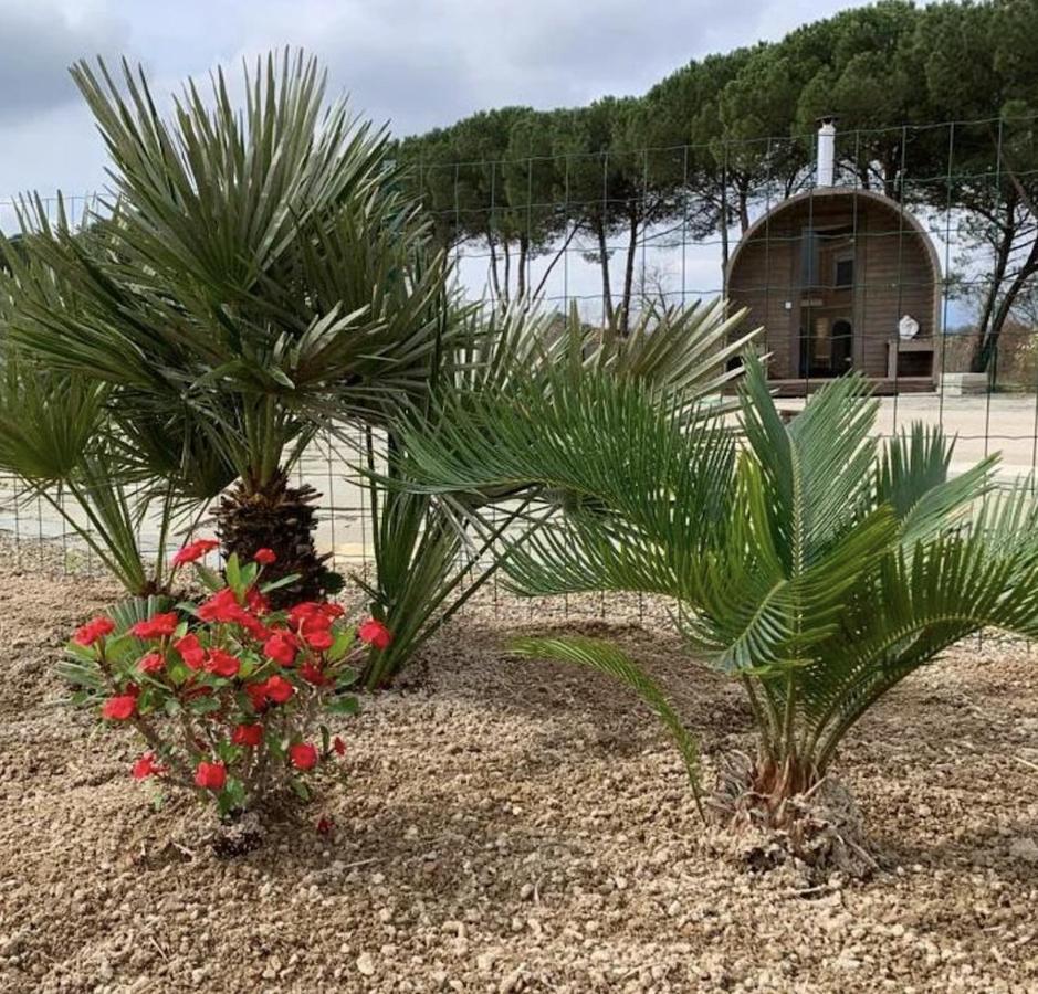 Villa Donnola: Casa Rosmarino Fucecchio Eksteriør billede